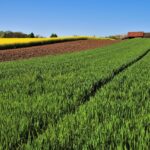 Terreno agricolo con cartello 'In vendita' e vista panoramica su campi verdi.